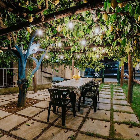 Il Giardino Dei Limoni Lejlighed Polvica Eksteriør billede